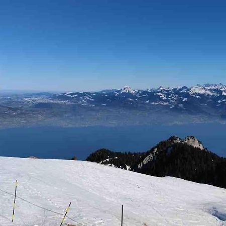 Studio Myrtilles Du Leman Vue Sur Lac Et Montagne Thollon-les-Memises Exterior foto