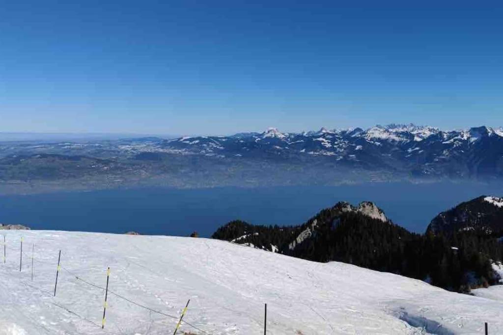 Studio Myrtilles Du Leman Vue Sur Lac Et Montagne Thollon-les-Memises Exterior foto